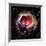 Light Echoes From Exploding Star-null-Framed Photographic Print