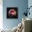 Light Echoes From Exploding Star-null-Framed Photographic Print displayed on a wall