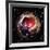 Light Echoes From Exploding Star-null-Framed Photographic Print