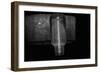 Light Fixtures B/W-null-Framed Photo