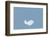 Light Fluffy a White Feather Floating in the Air with Copy Space. Feather Abstract Freedom Concept-1933bkk-Framed Photographic Print