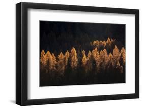 Light for a Few-Michel Manzoni-Framed Photographic Print