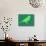 Light Green Bird-NaxArt-Art Print displayed on a wall