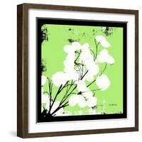 Light Green Money Plant-Herb Dickinson-Framed Photographic Print