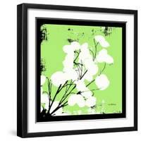 Light Green Money Plant-Herb Dickinson-Framed Photographic Print