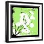 Light Green Money Plant-Herb Dickinson-Framed Photographic Print