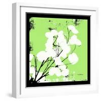 Light Green Money Plant-Herb Dickinson-Framed Photographic Print