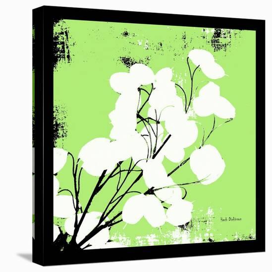 Light Green Money Plant-Herb Dickinson-Stretched Canvas
