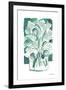 Light Green Tulips II-Farida Zaman-Framed Art Print