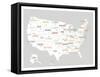 Light Grey USA Map-Kindred Sol Collective-Framed Stretched Canvas