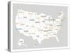 Light Grey USA Map-Kindred Sol Collective-Stretched Canvas