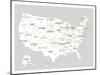 Light Grey USA Map-Kindred Sol Collective-Mounted Art Print