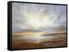 Light I-Sheila Finch-Framed Stretched Canvas