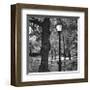 Light in Central Park-Erin Clark-Framed Giclee Print