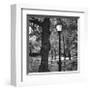 Light in Central Park-Erin Clark-Framed Giclee Print