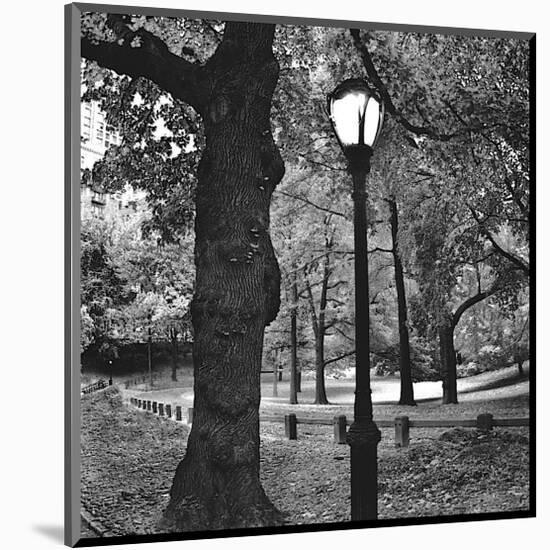 Light in Central Park-Erin Clark-Mounted Giclee Print