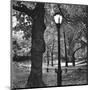 Light in Central Park-Erin Clark-Mounted Giclee Print