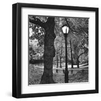 Light in Central Park-Erin Clark-Framed Giclee Print