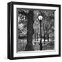 Light in Central Park-Erin Clark-Framed Giclee Print