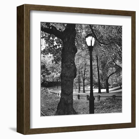 Light in Central Park-Erin Clark-Framed Giclee Print