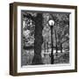 Light in Central Park-Erin Clark-Framed Giclee Print