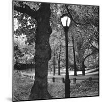 Light in Central Park-Erin Clark-Mounted Giclee Print