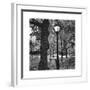 Light in Central Park-Erin Clark-Framed Giclee Print