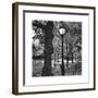 Light in Central Park-Erin Clark-Framed Giclee Print