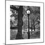 Light in Central Park-Erin Clark-Mounted Giclee Print