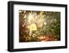 Light in the Forest-soupstock-Framed Photographic Print