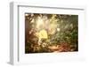 Light in the Forest-soupstock-Framed Photographic Print