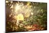 Light in the Forest-soupstock-Mounted Photographic Print