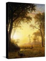 Light in the Forest-Albert Bierstadt-Stretched Canvas