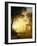 Light in the Forest-Albert Bierstadt-Framed Premium Giclee Print