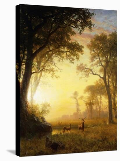 Light in the Forest-Albert Bierstadt-Stretched Canvas