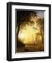 Light in the Forest-Albert Bierstadt-Framed Premium Giclee Print