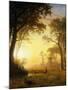 Light in the Forest-Albert Bierstadt-Mounted Giclee Print