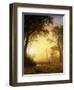 Light in the Forest-Albert Bierstadt-Framed Giclee Print