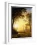 Light in the Forest-Albert Bierstadt-Framed Giclee Print