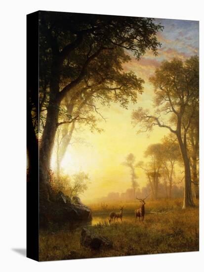 Light in the Forest-Albert Bierstadt-Stretched Canvas