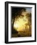 Light in the Forest-Albert Bierstadt-Framed Giclee Print