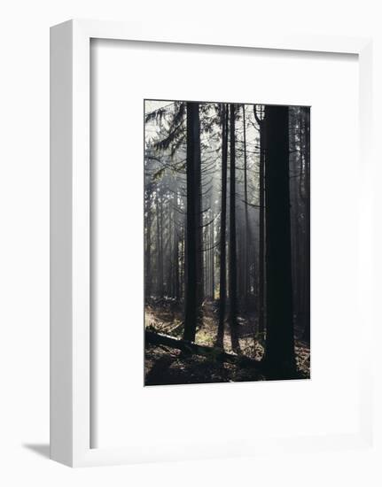 Light in the Teutoburg Forest in Oerlinghausen-Nadja Jacke-Framed Photographic Print