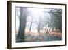 Light Is Coming-Viviane Fedieu Daniel-Framed Photographic Print