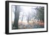 Light Is Coming-Viviane Fedieu Daniel-Framed Photographic Print