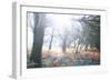 Light Is Coming-Viviane Fedieu Daniel-Framed Photographic Print