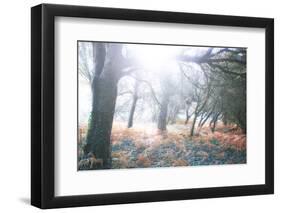 Light Is Coming-Viviane Fedieu Daniel-Framed Photographic Print