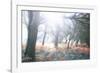 Light Is Coming-Viviane Fedieu Daniel-Framed Photographic Print