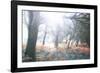 Light Is Coming-Viviane Fedieu Daniel-Framed Photographic Print