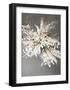 Light Leaves 1-Design Fabrikken-Framed Art Print