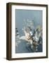 Light Leaves 4-Design Fabrikken-Framed Art Print